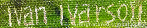Signature by: IVARSON, Ivan