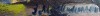 Signature thumbnail