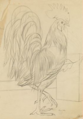 Cockrel by Paul RIBA