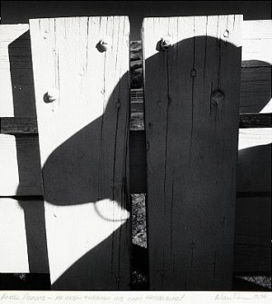 Ansel Adams - As Seen Through His Own Hasselblad (fence And Shadow, Monterey Area, California, December 1974) by Alan ROSS