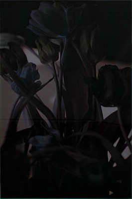Tulpaner by Lena KOLLER - auction artwork with signature