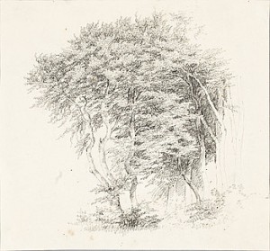 (2) Skogslandskap by Andreas JUUEL