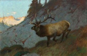 Olympic Elk by Carl Clemens Moritz RUNGIUS