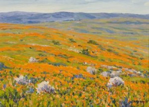 Antelope Valley Poppy Reserve by Gary RAY