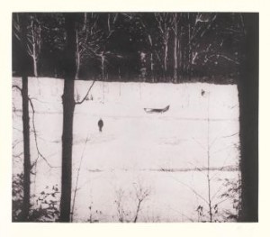 Almost Grown by Peter DOIG