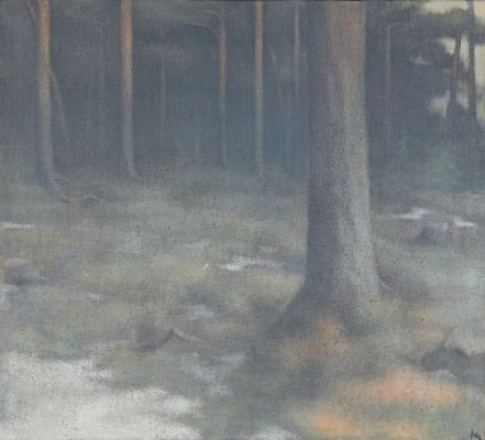 Skogsglänta by Peter FRIE