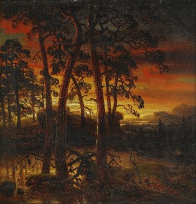 Aftonrodnad över Skogslandskap by Marcus LARSON