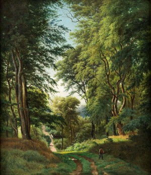 Blick Entlang Eines Sommerlichen Waldweges by Anders Christian LUNDE