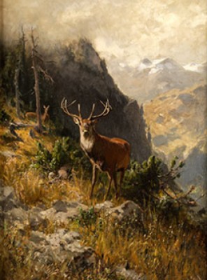 Der Hirsch by Arthur THIELE