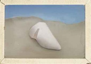 Shell On The Sand by Rebecca Salsbury JAMES