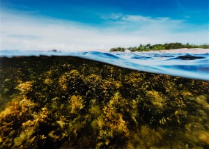 Hangö/finland by Jukka RAPO - auction artwork with signature