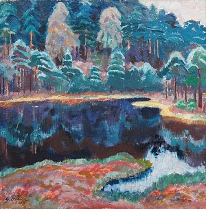 Landscape/reflections by Yrjö OLLILA