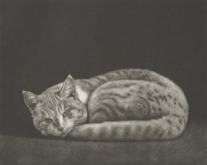 Cat by KAWAGUCHI - auction artwork with signature