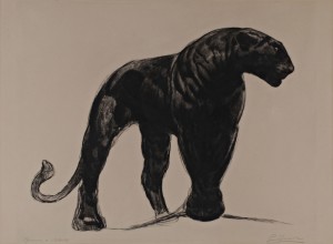 Panthère by Paul JOUVE