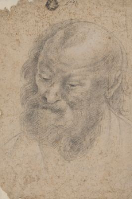 Study Of The Head Of A Bearded Man by John PLOTT
