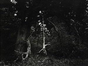 Ur Serien Landscapes by Walter HIRSCH