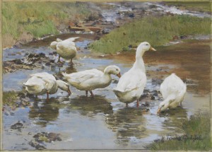 Enten Am Wasser by Frans GRÄSSEL