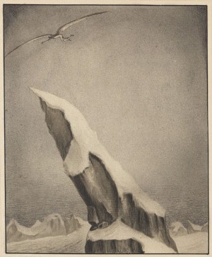 Der Adler by Alfred KUBIN