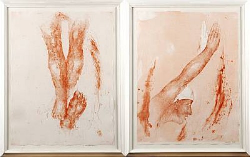(2) Studier by Susanne NESSIM