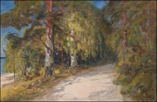 Skogsväg by Elias MUUKKA