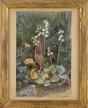 Sommarblommor by Edith MARTINEAU - auction artwork with signature