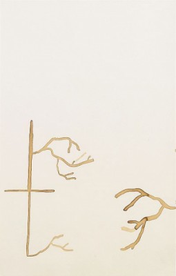 The Passion Xxiii by James BROWN