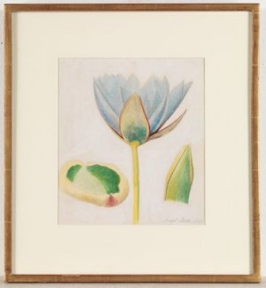 Lotus by Joseph STELLA