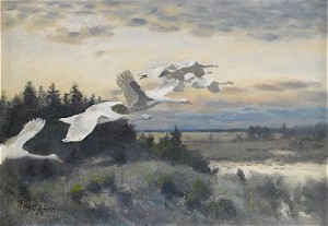 Sträckande Svanar by Bruno LILJEFORS