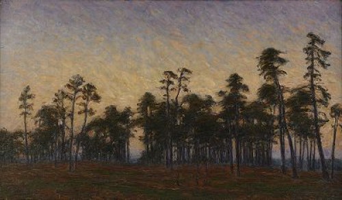 Aftonljus över Tallmon by Karl NORDSTRÖM