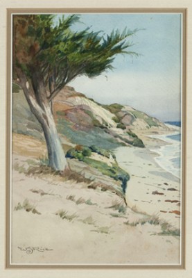 A Monterey Cypress, Laguna Cal by William Seltzer RICE