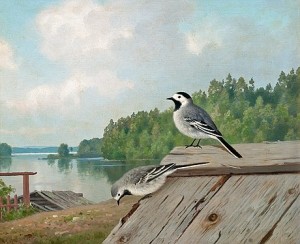 Small Birds On The Roof by Ferdinand Von WRIGHT