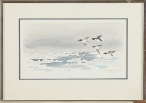 Flygande Fåglar över Islandskap by Gunnar BRUSEWITZ