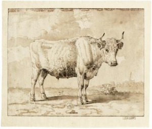 Auf Einer Weide Stehender Stier by Jan Van GOOL