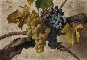 Stillleben Mit Weissen Und Roten Trauben by Giorgio LUCCHESI - auction artwork with signature