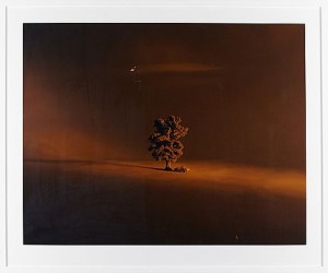 Scene 63 by Nils Olav BØE - auction artwork with signature