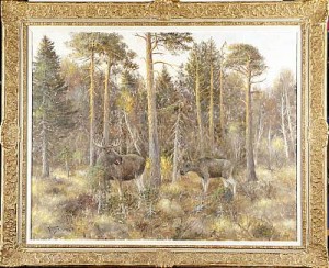 älgar I Tallskog by Johannes RAVN