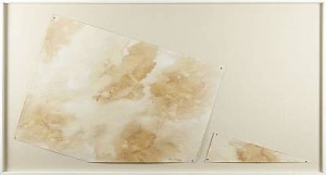 Bloom, Diptyk by Susan WEIL