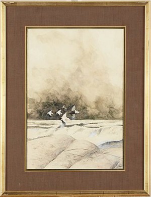 Sträckande Sjöfåglar by Jan RHODIN