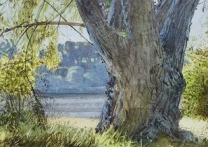 Tree by Stephen COATES