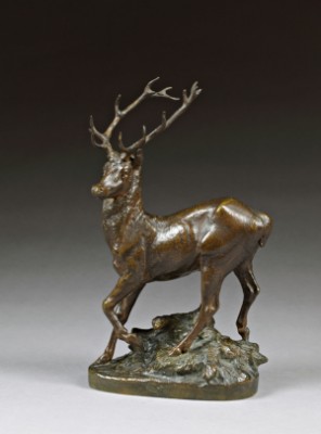 Cerf Surpris by Prosper LECOURTIER