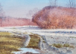 Receding Snow In Glenview, Illinois by Stephen COATES