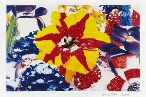 Six Moments Of Sunrise. The Complete Suite Comprising 6 Photoetchings by Marc QUINN