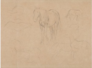 Horse Studies by Edgar DEGAS