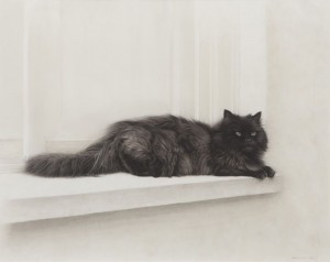 Cat by Gerardo PITA