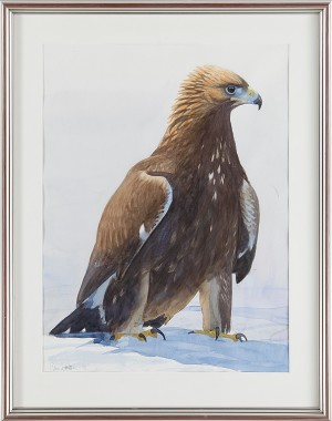 Rovfågel by Dan ZETTERSTRÖM - auction artwork with signature