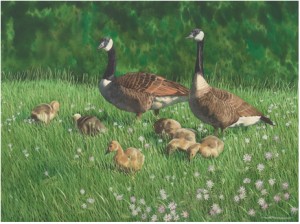 Springtime by Don PATTERSON