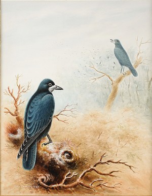 Rooks by John DUNCAN - auction artwork with signature