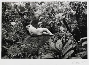 Hommage à Douanier Rousseau by Édouard BOUBAT