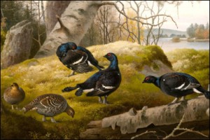 Orrar I Skogen by Ferdinand Von WRIGHT