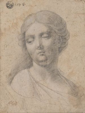 Study Of The Head Of A Woman by John PLOTT